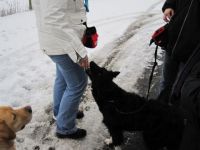WinterwanderungBW10_35